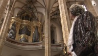 Orgel des Freiberger Doms