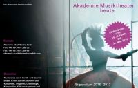 Flyer Akademie Musiktheater heute