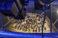 Hinter den Kulissen der Elbphilharmonie