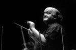 Horst Stein